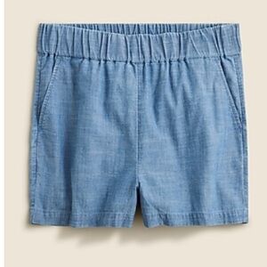 J. Crew Light Blue Women's Chambray Shorts